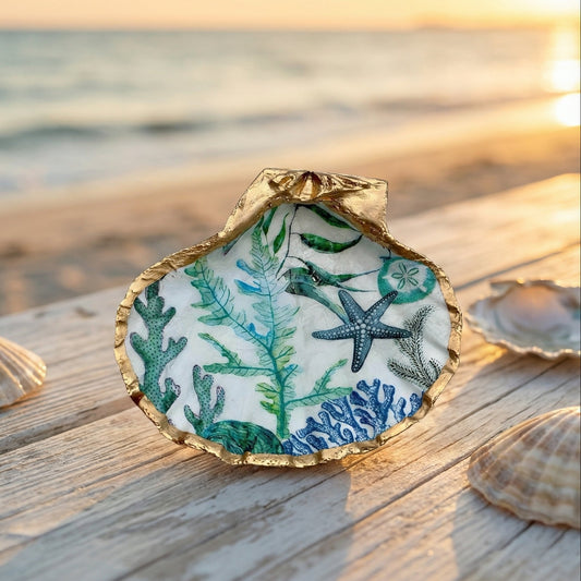 decorative seashell dish beach house styling