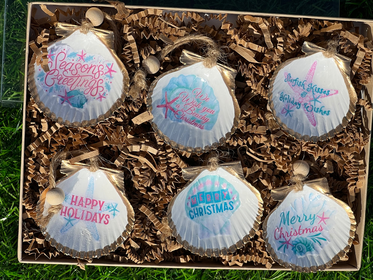 Starfish Wishes Christmas Mini 6 Pack