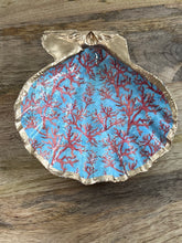 Load image into Gallery viewer, Tiny Red Coral Trinket Shell