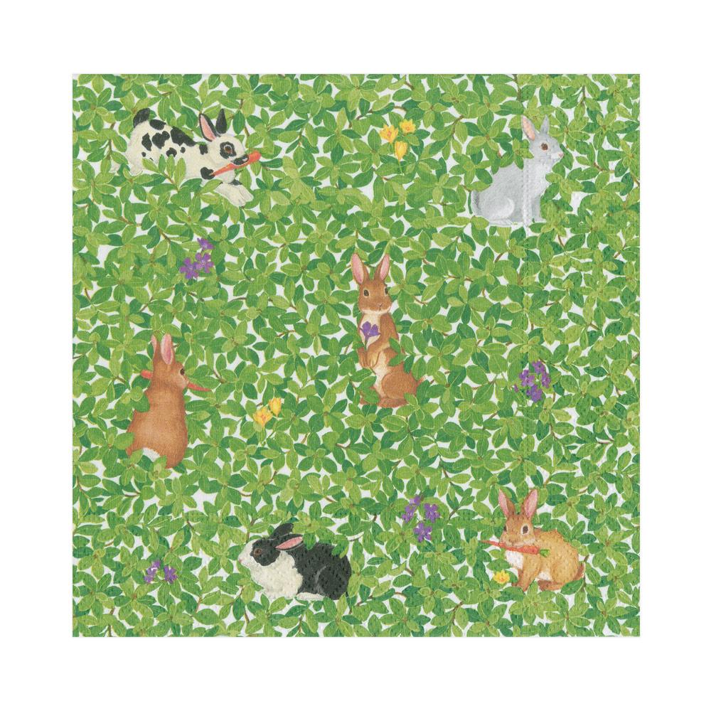 Boxwood Bunnies Trinket Shells