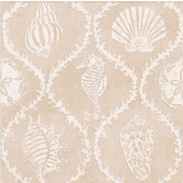 Seychelles Trinket Shell