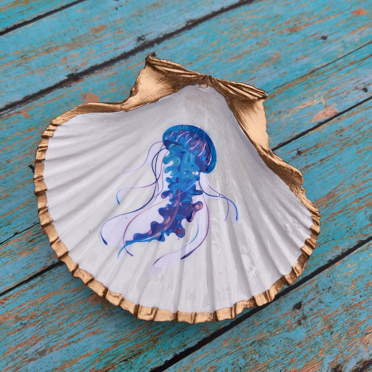 Jellyfish Trinket Shell
