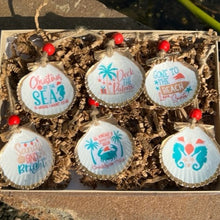 Load image into Gallery viewer, Christmas at the Beach Shells Mini 6 Pack