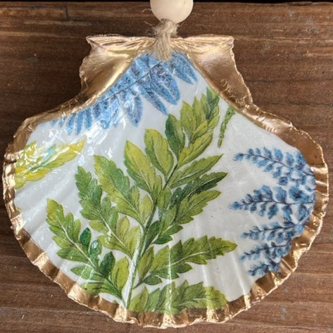 Ferns Shell