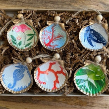 Load image into Gallery viewer, Coastal Mini Shell 6 Pack