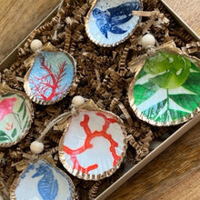 Load image into Gallery viewer, Coastal Mini Shell 6 Pack