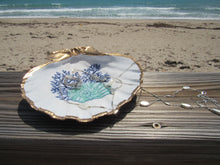 Load image into Gallery viewer, South Florida Trinket Shells