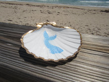 Load image into Gallery viewer, South Florida Trinket Shells