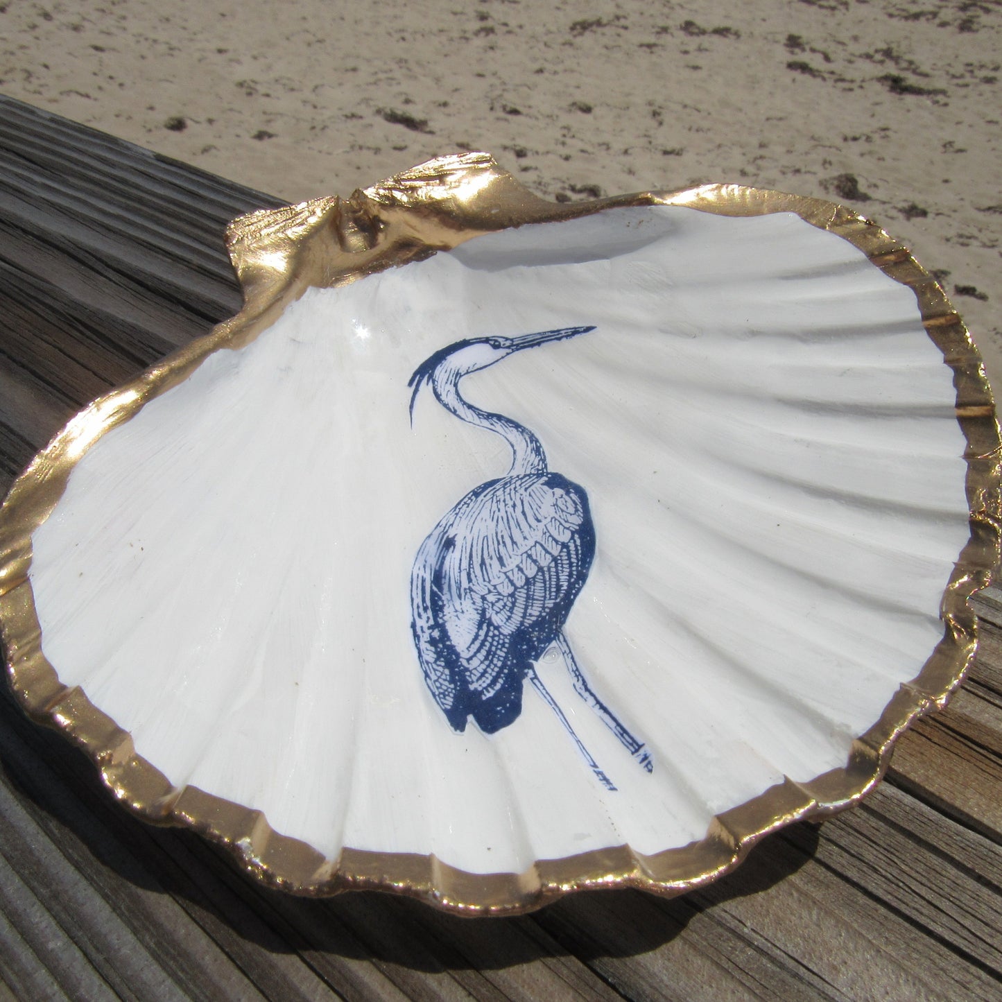 Florida Birds Trinket Shell