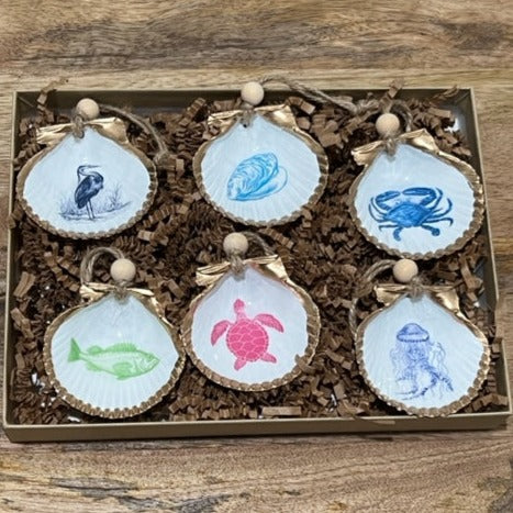 Chesapeake Mini 6 Pack