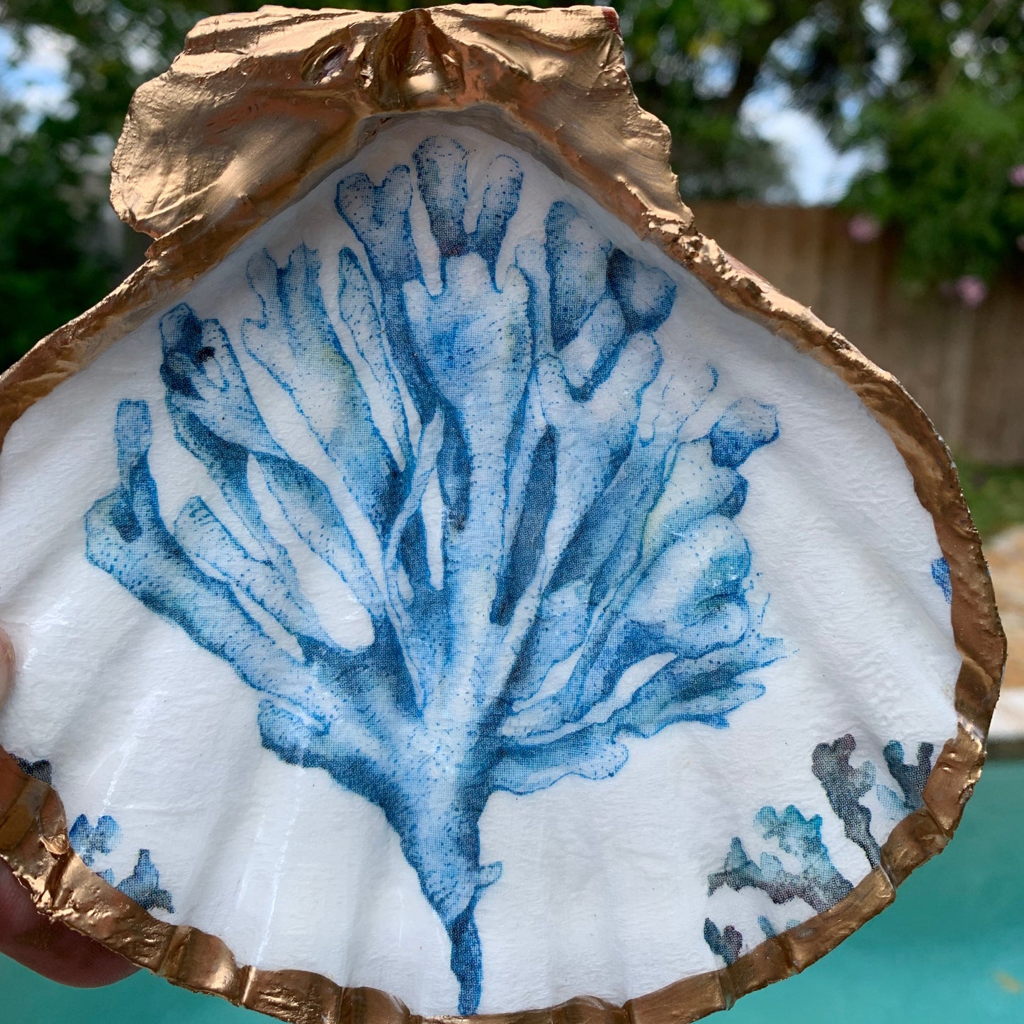 Blue Coral Scallop Shell Trinket Dish – Coastal Beach Decor