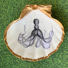 Load image into Gallery viewer, Sea Creature Large Trinket Shell