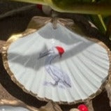 Santa's Sea Creatures Shells Mini 6 Pack