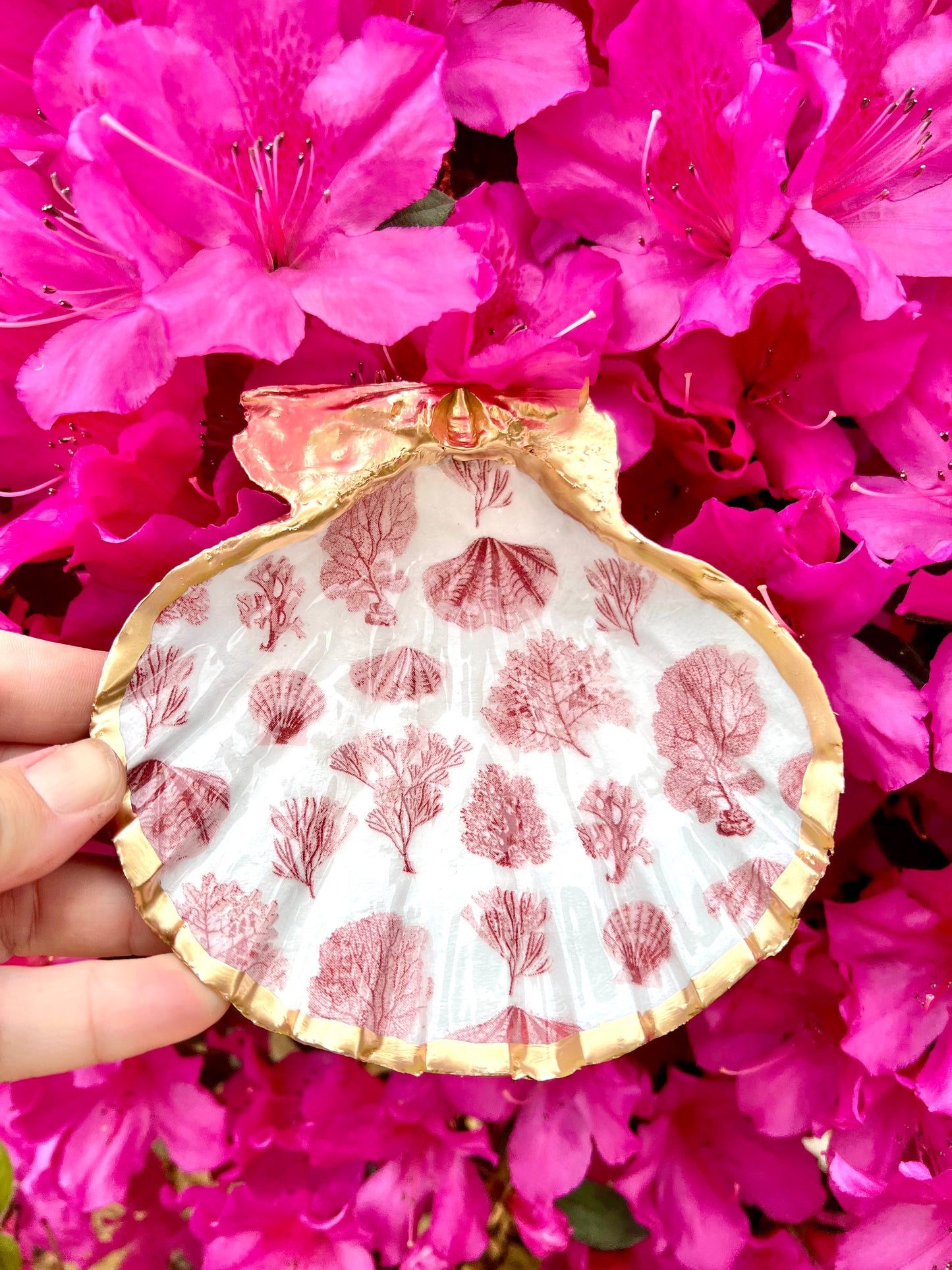 Red Sea Fan Trinket Shell