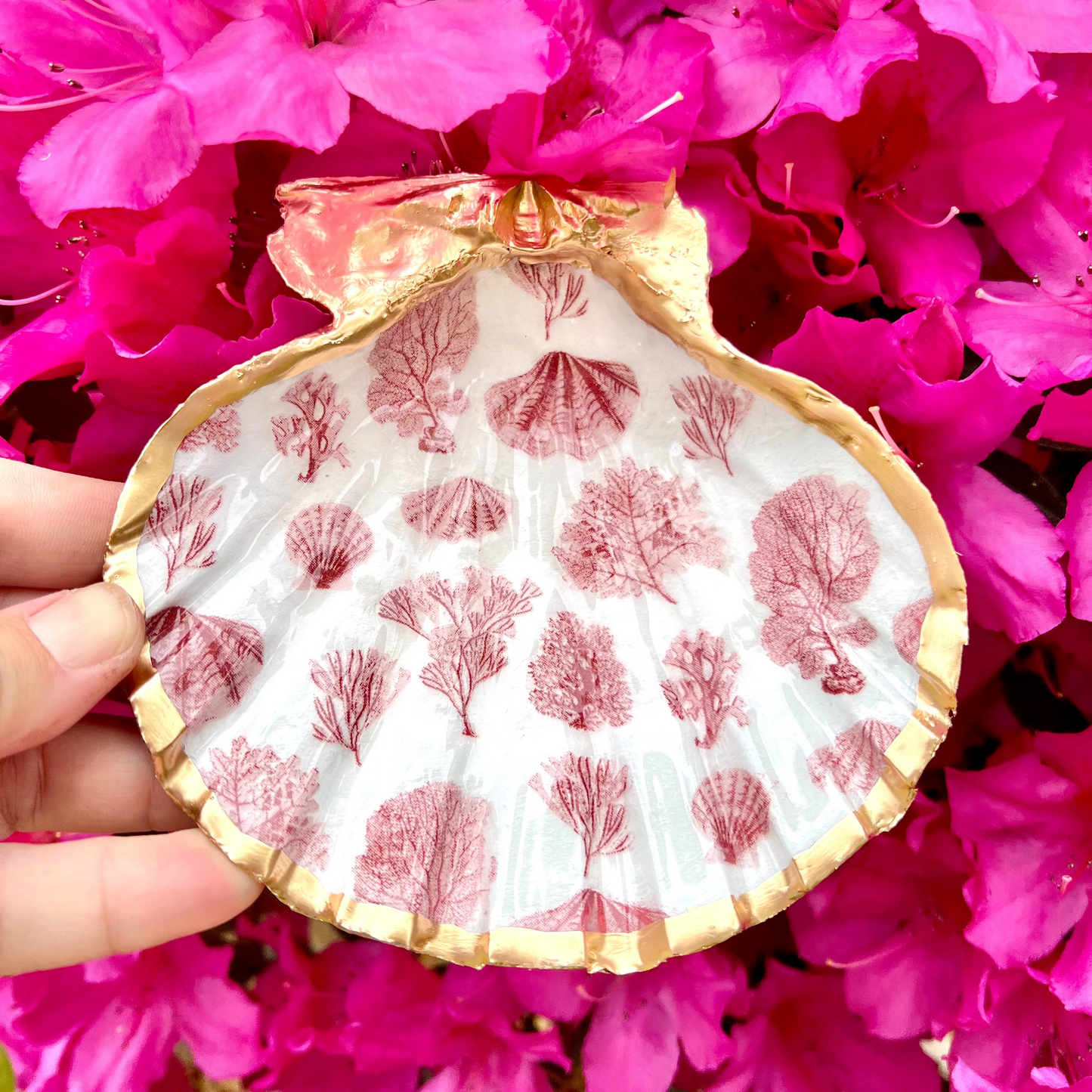 Red Sea Fan Trinket Shell