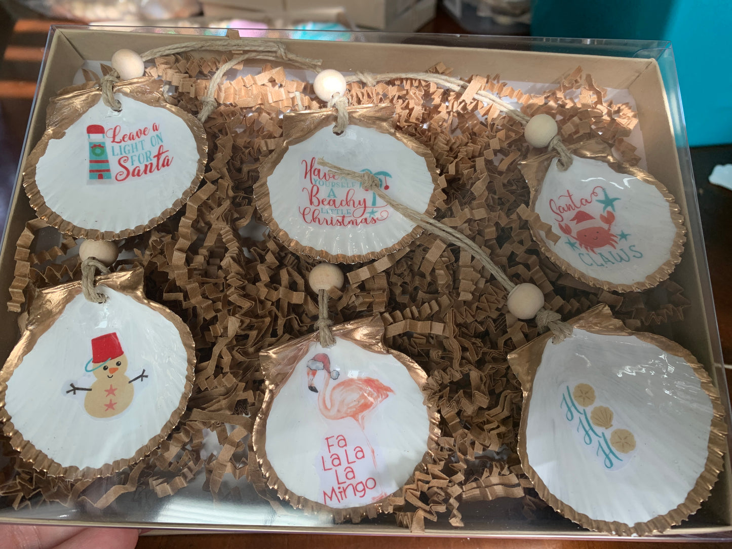 Coastal Christmas Mini Shell 6 pk