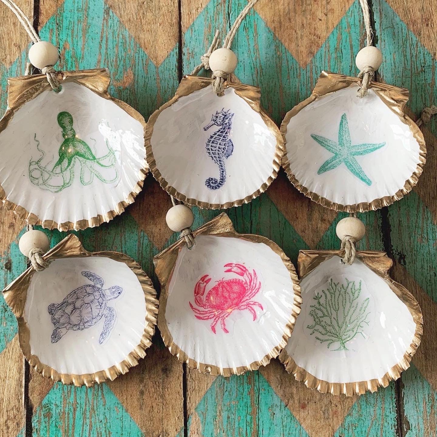 Sea Creatures Mini Shell 6 pk