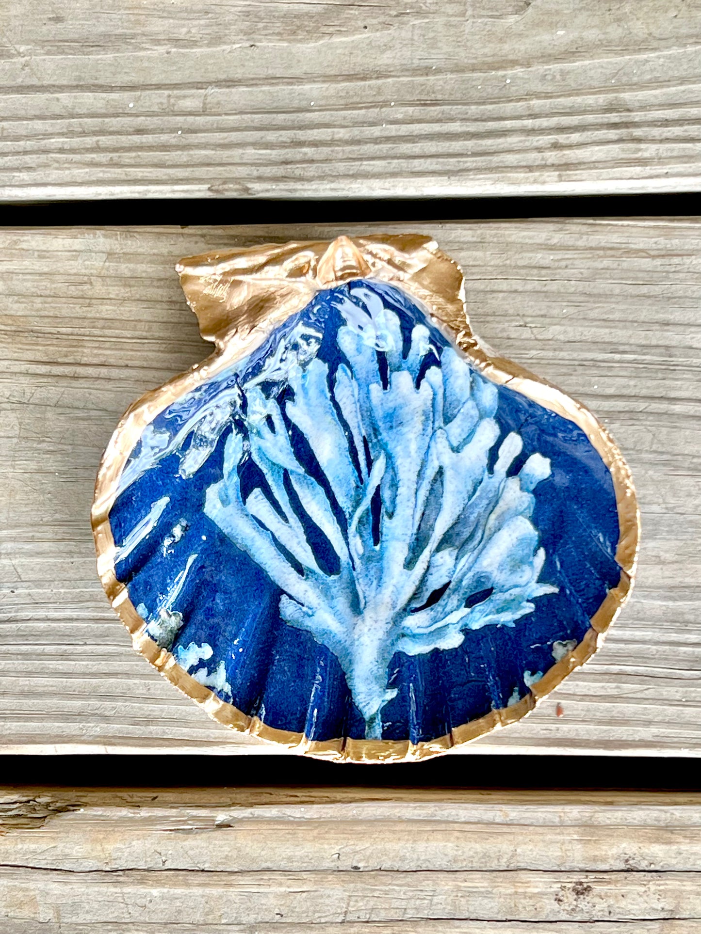 Sea Coral Trinket Shell