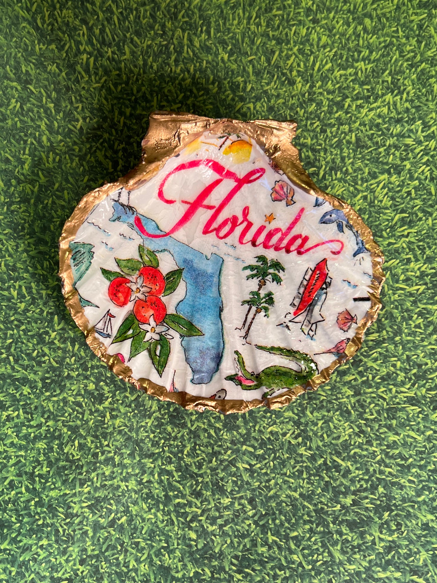 Florida Trinket Shell