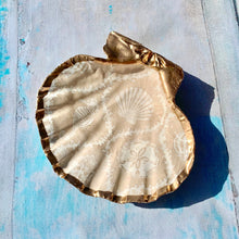 Load image into Gallery viewer, Seychelles Trinket Shell