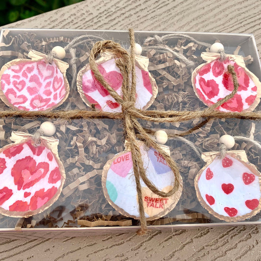 Valentine Mini Shell 6 Pack