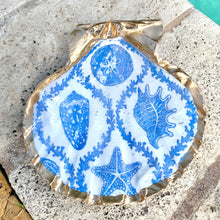 Load image into Gallery viewer, Seychelles Trinket Shell
