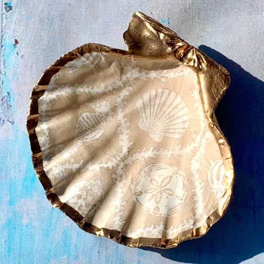 Seychelles Trinket Shell