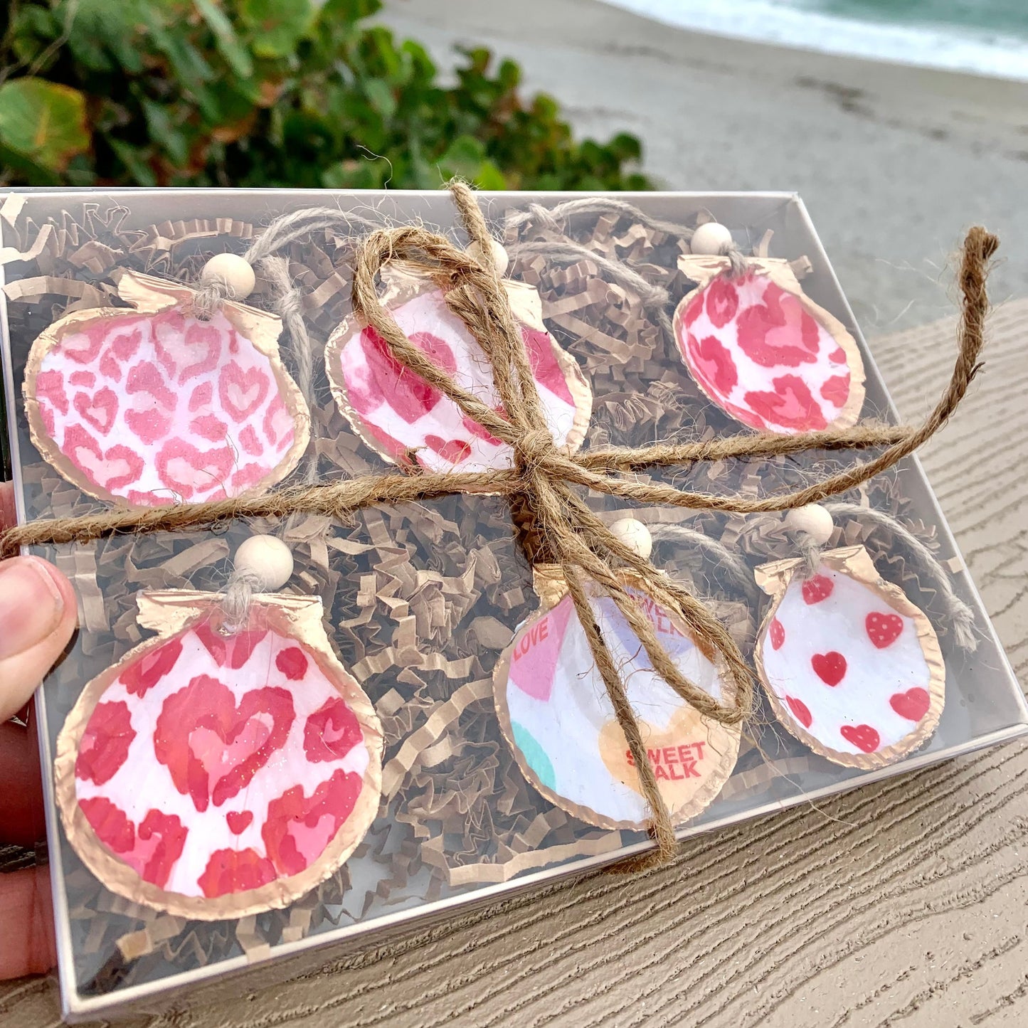 Valentine Mini Shell 6 Pack