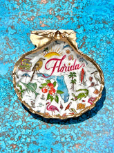 Load image into Gallery viewer, Florida Trinket Shell
