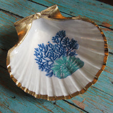 Load image into Gallery viewer, DogFish Coral Trinket Shell