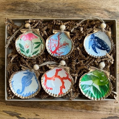 Coastal Shell Gift Sets