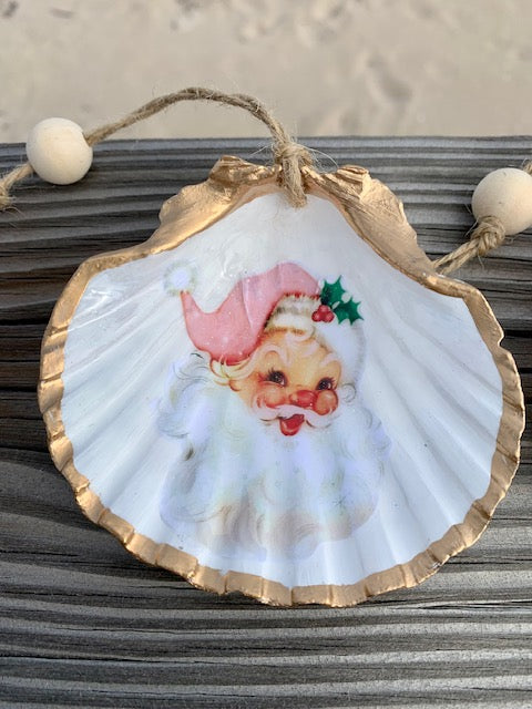 Christmas Shell Collection