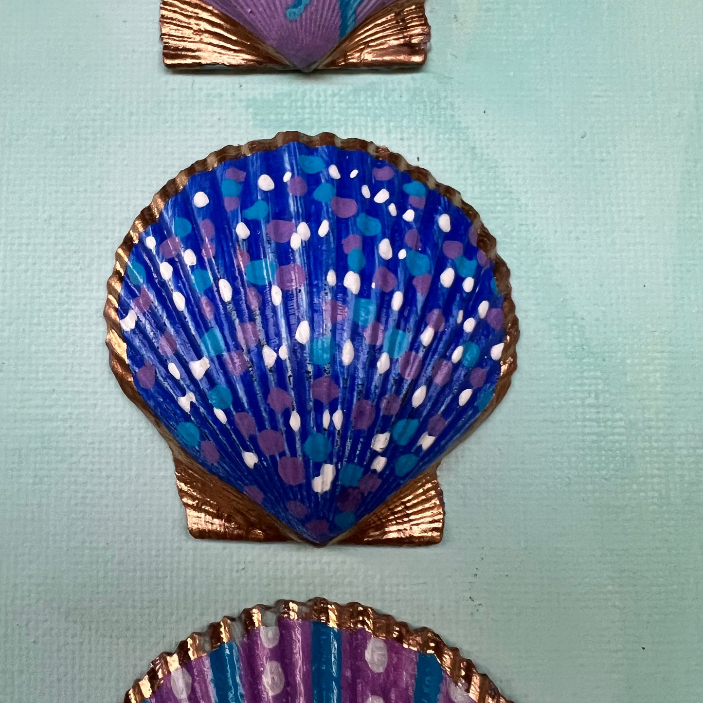 Lavender Haze Seashell Canvas Wall Art | 12x12