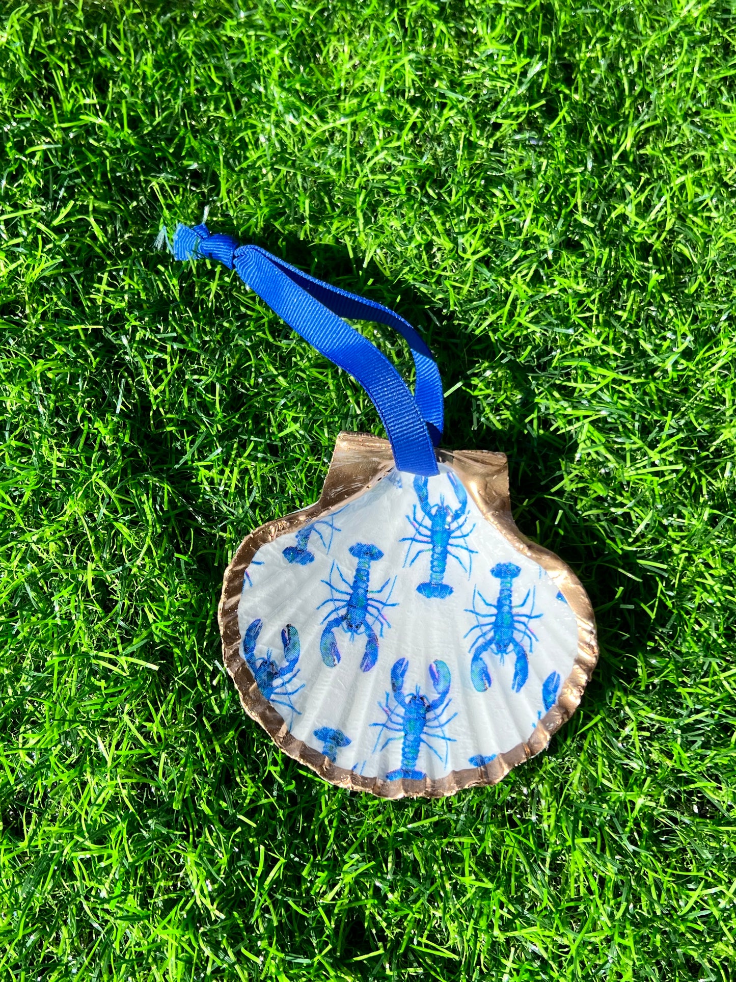 Blue Lobster Shell
