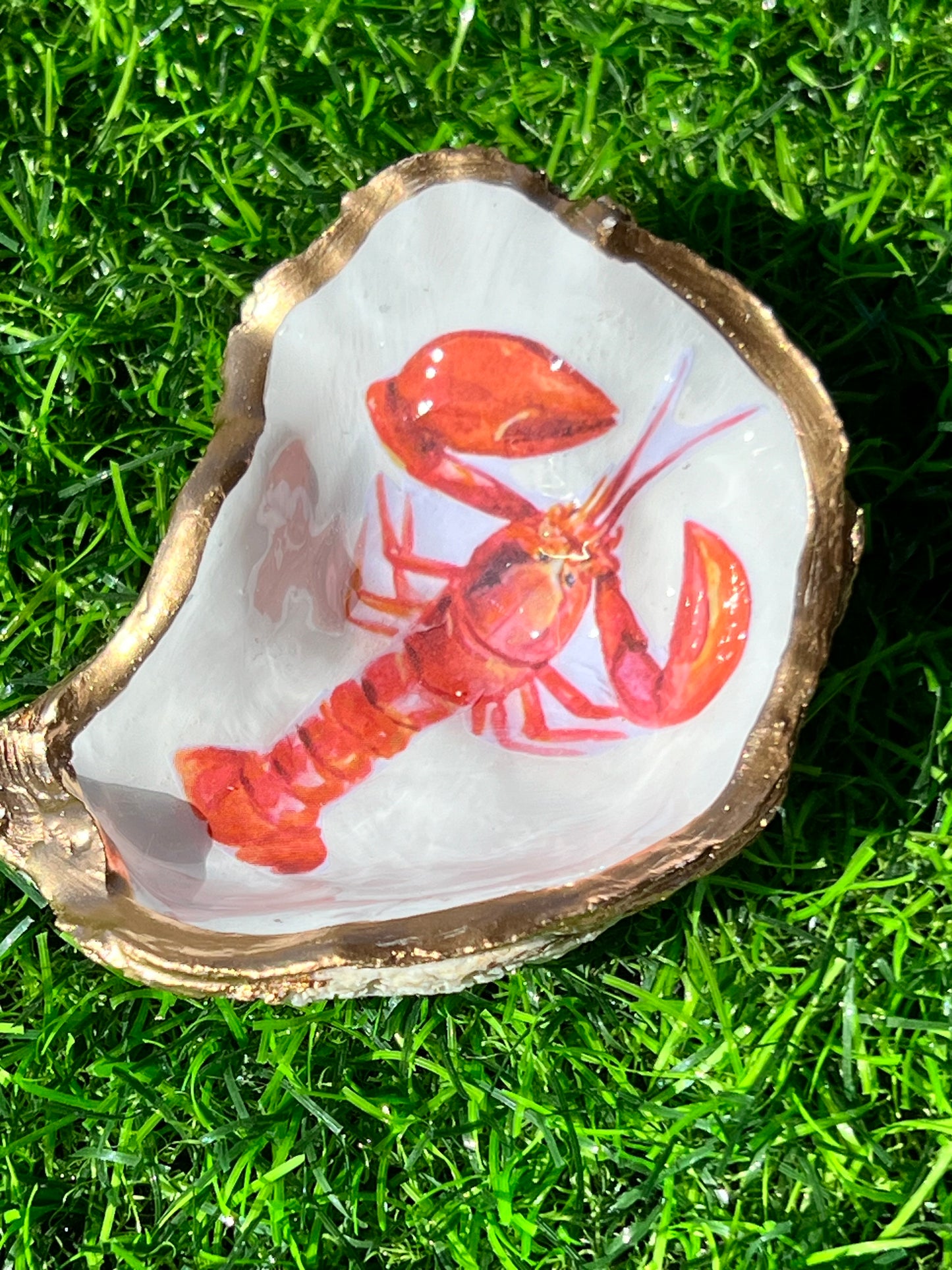 Red Lobster Shell