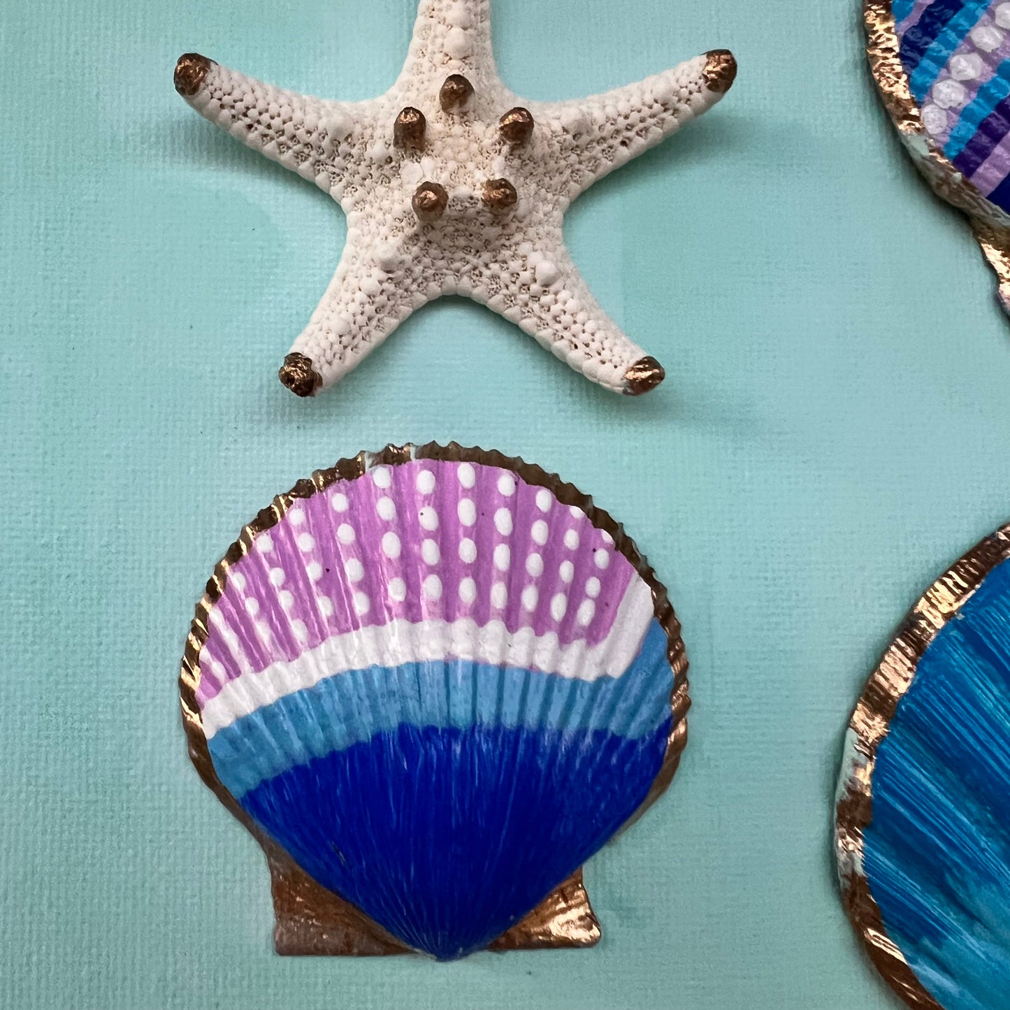 Lavender Haze Seashell Canvas Wall Art | 12x12
