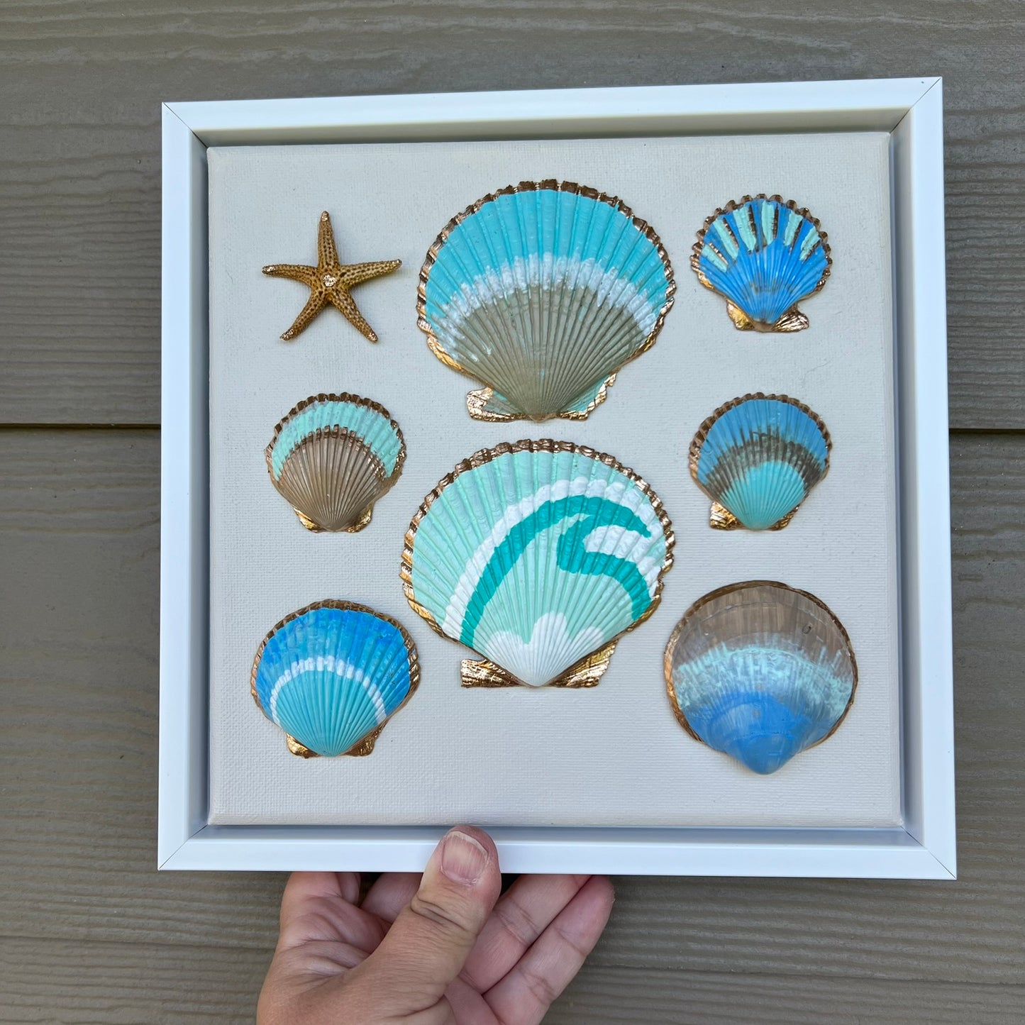 Jupiter Beach Seashell Canvas Wall Art | 8x8