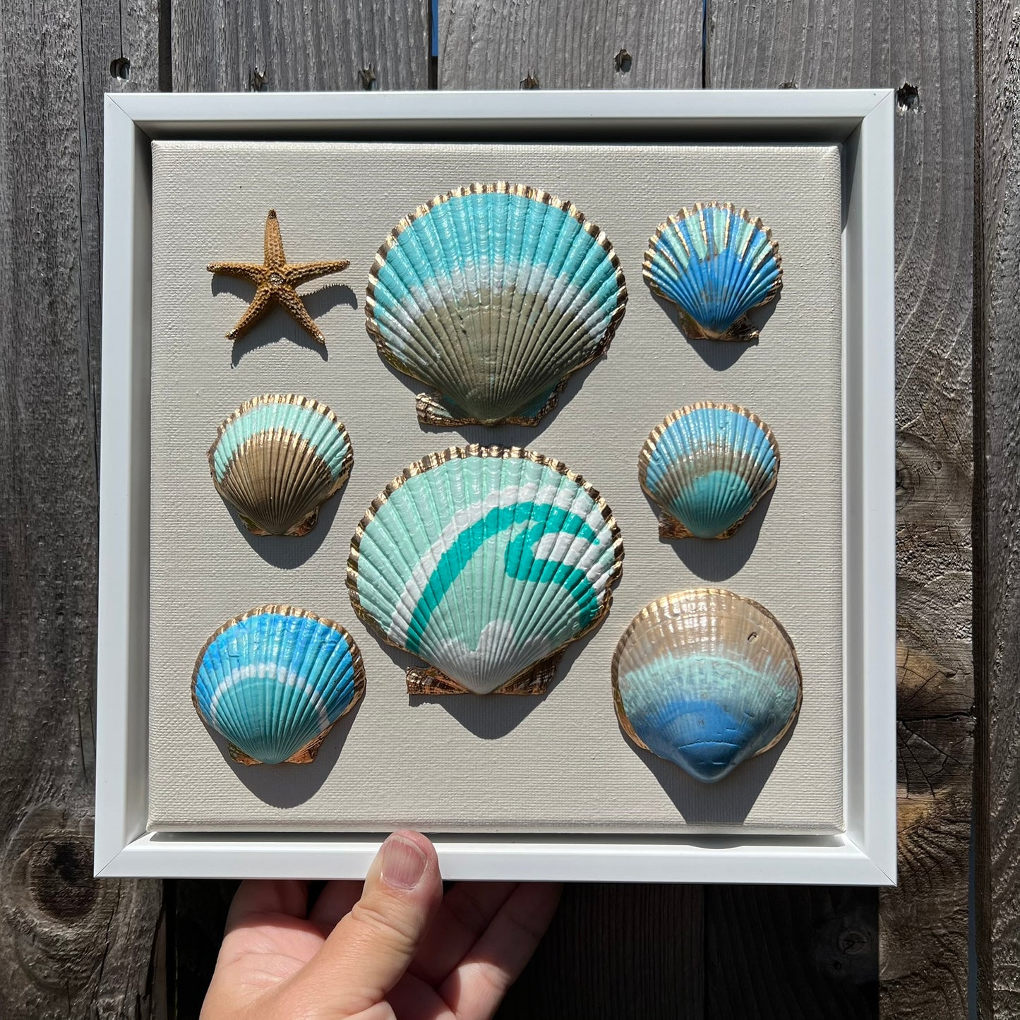 Jupiter Beach Seashell Canvas Wall Art | 8x8