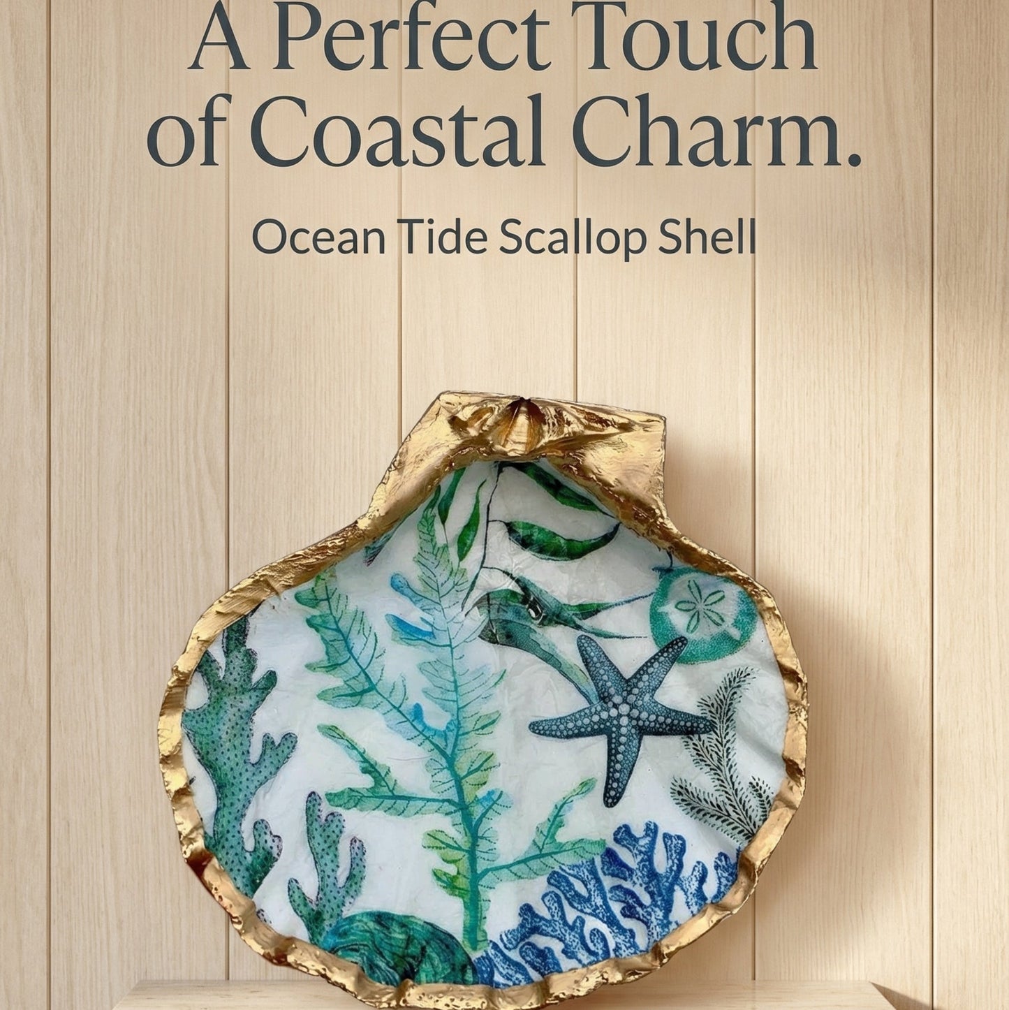 Ocean Tide Scallop Shell Dish – Coastal Beach Decor