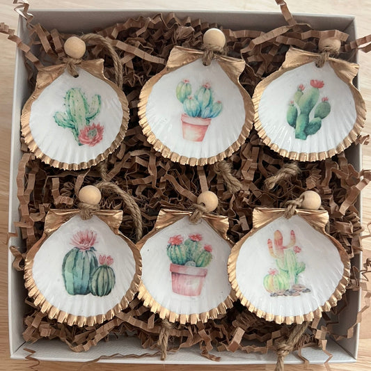 Cactus seashell ornament gift set desert rose scallop shell ornaments Dogfish Design 13