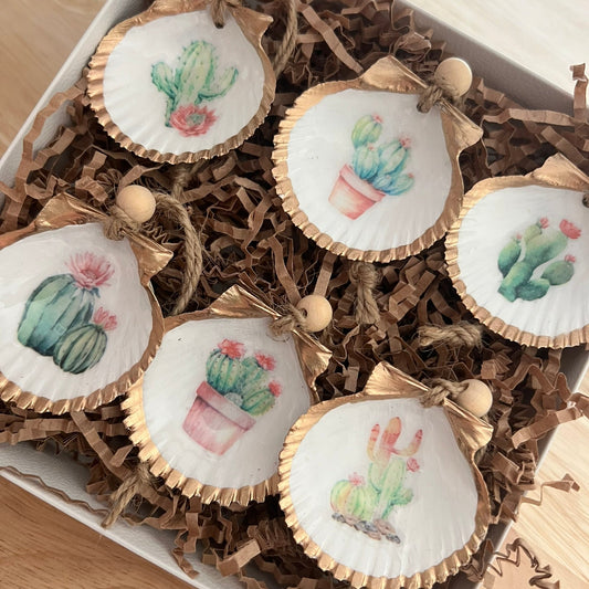 Decorative seashells with cactus desert rose illustrations in a box