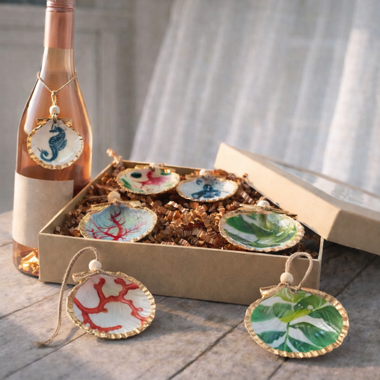 Coastal mini shell 6 pack with a bottle of wine on a wooden surface.