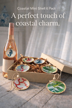 Load image into Gallery viewer, Coastal Mini Shell 6 Pack
