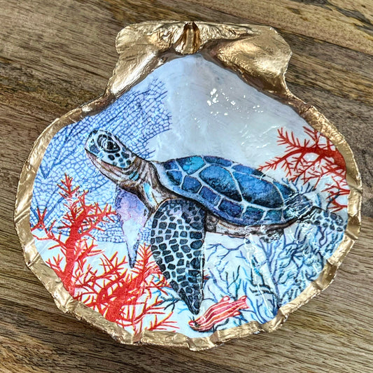 Blue Turtle Trinket Shell
