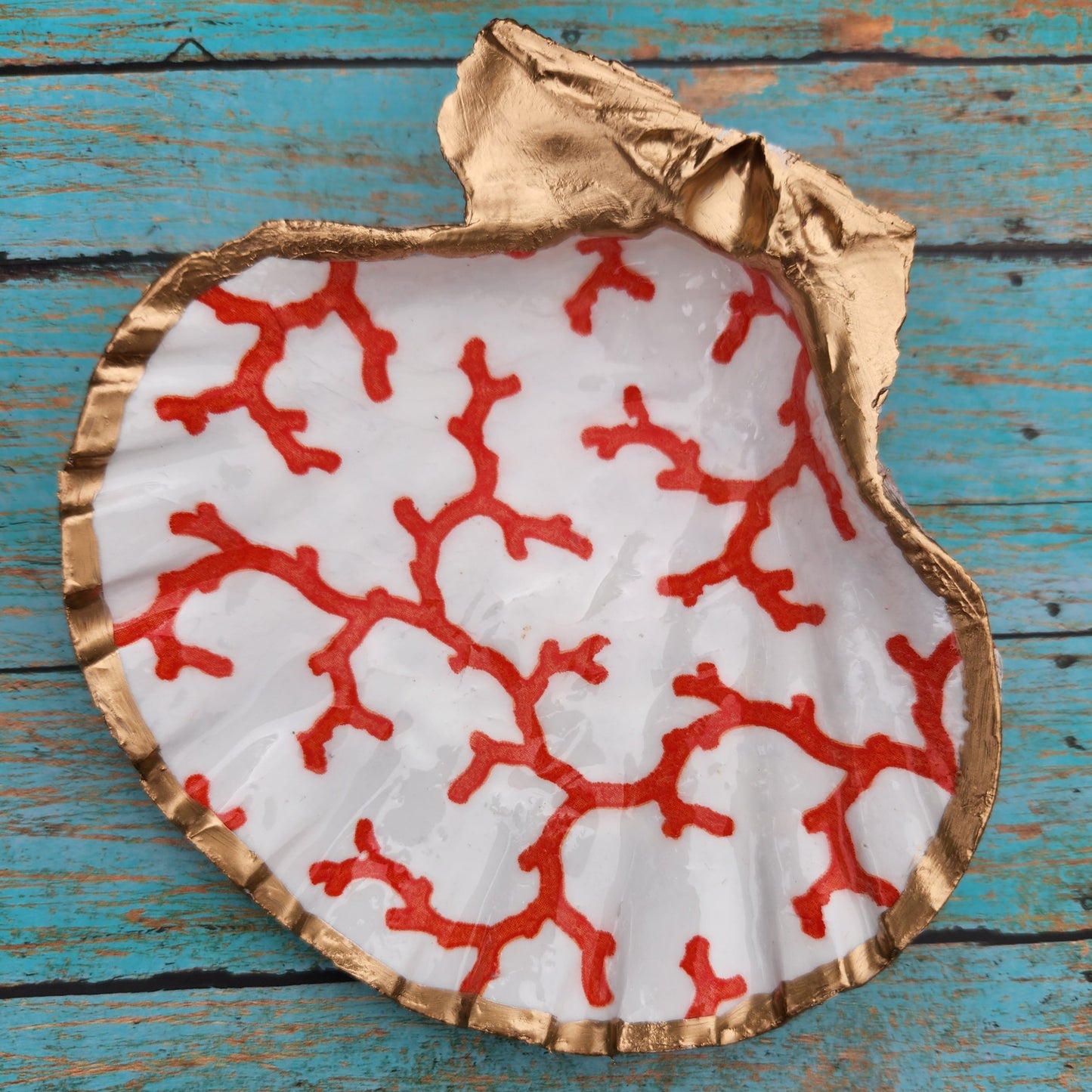 Red Coral Trinket Shell