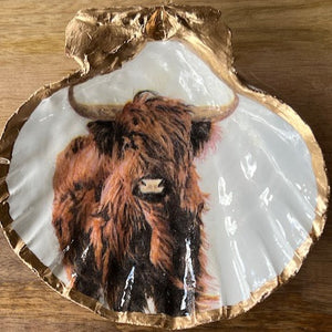 Highland Cow Shell