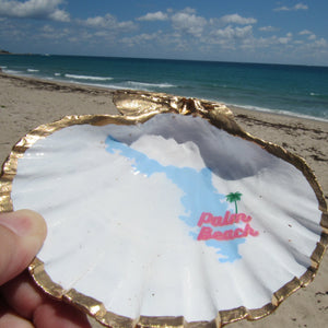 South Florida Trinket Shells