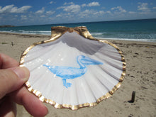 Load image into Gallery viewer, South Florida Trinket Shells
