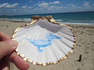 South Florida Trinket Shells
