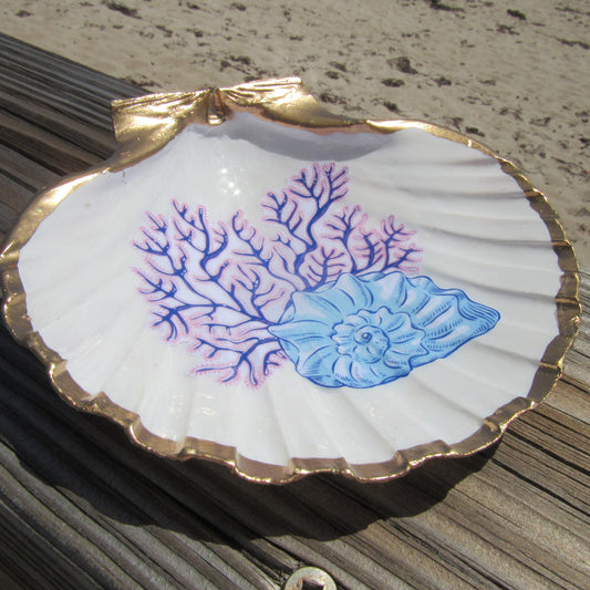DogFish Coral Trinket Shell